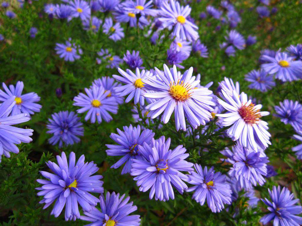 启五品邮：写写邮友