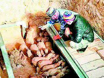 山东一汉墓挖出汉代人马俑，堪称“出行仪仗队”！