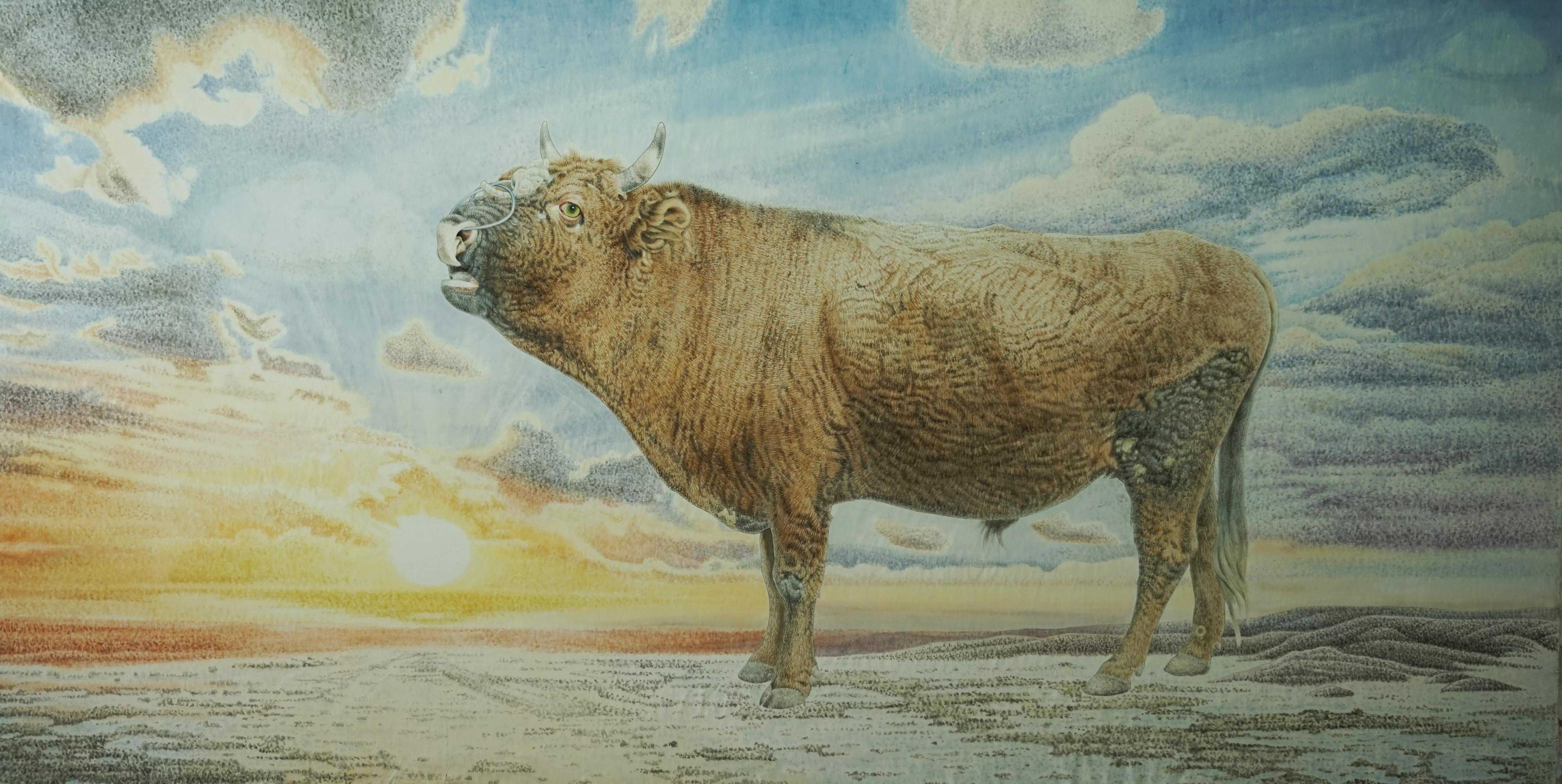 牛年说牛 |  常树森画牛