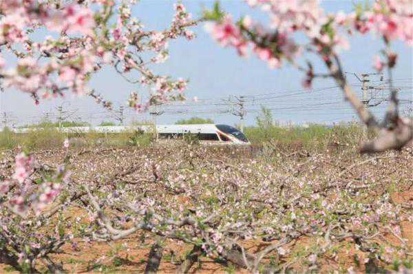 收藏！沈阳铁路最全“复兴号”动车组列车时刻表来啦