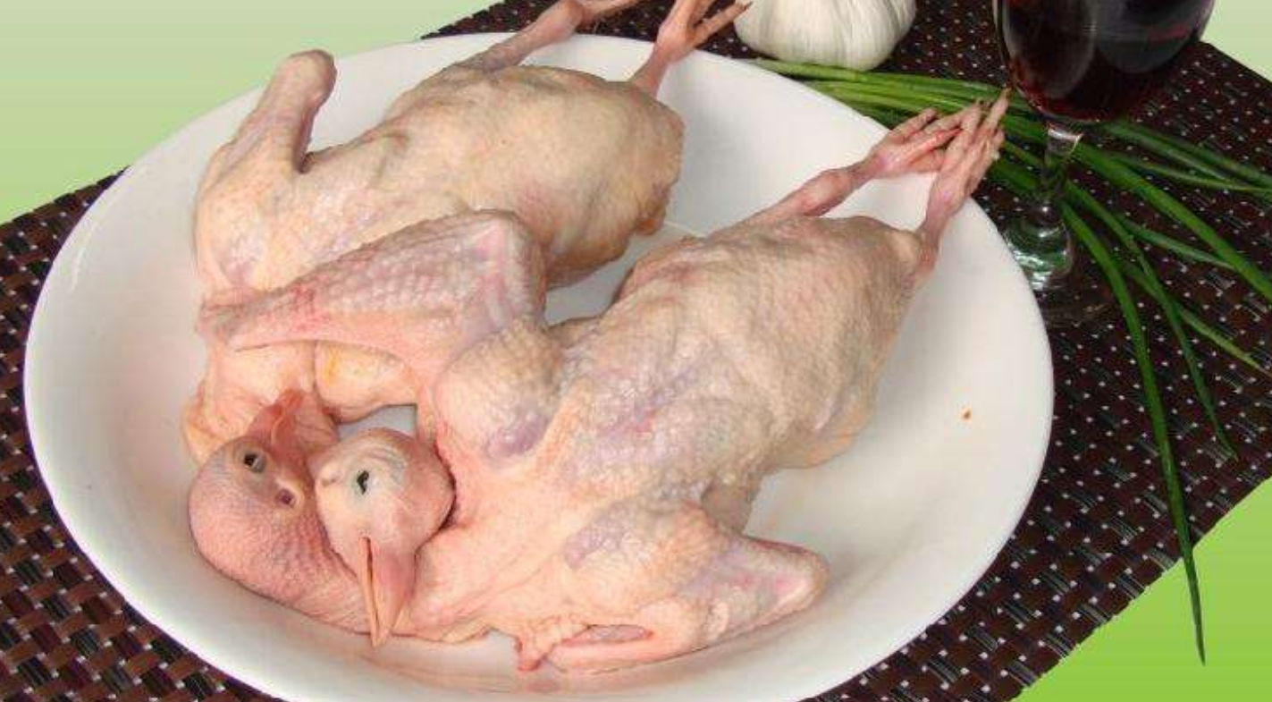 爱吃鸽子的一定要收藏，教你5种鸽子最好吃的做法，看你爱吃哪种