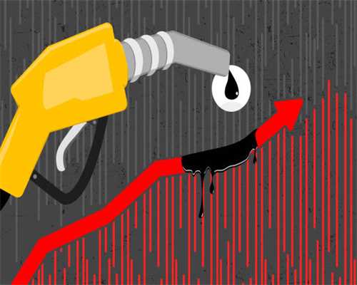 「收藏」尼康Z系列相机都有哪些镜头呢？看这篇汇总大全就够了