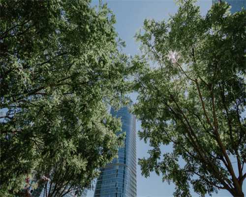 著名水利工程莆田木兰陂与僧人的关系