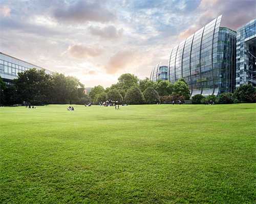 信愿法师：这才是真实的净土