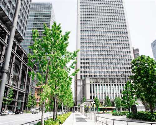 堕胎的婴儿给妈妈托梦