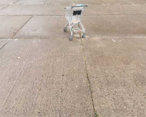 推荐1款堪称神器的私密相册App，绝对值得你去收藏！